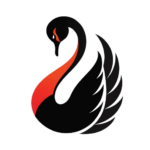perth seo company